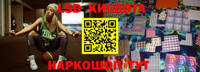 шишки Абакан
