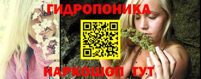 шишки Абакан