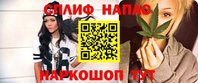 шишки Абакан