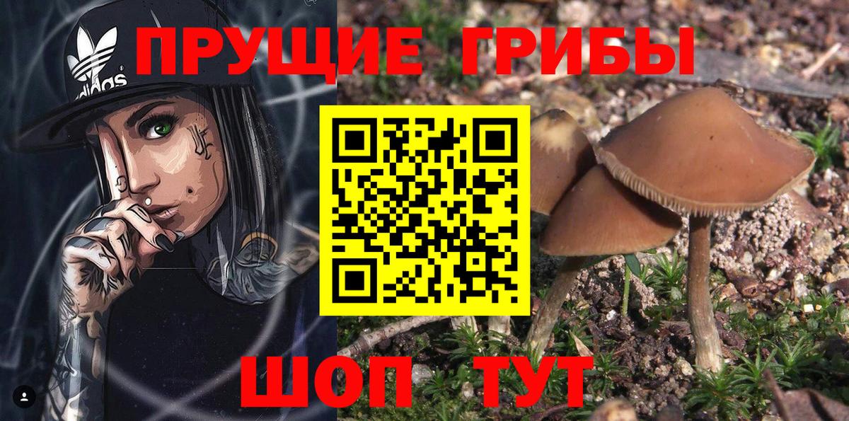 Анжеро-Судженск  Галлюциногенные грибы мухоморы  купить наркотик  Вход с VPN 